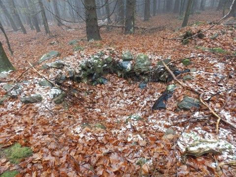 Foto 45